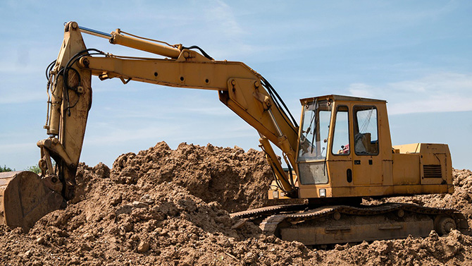 dog-walkers-maida-vale
