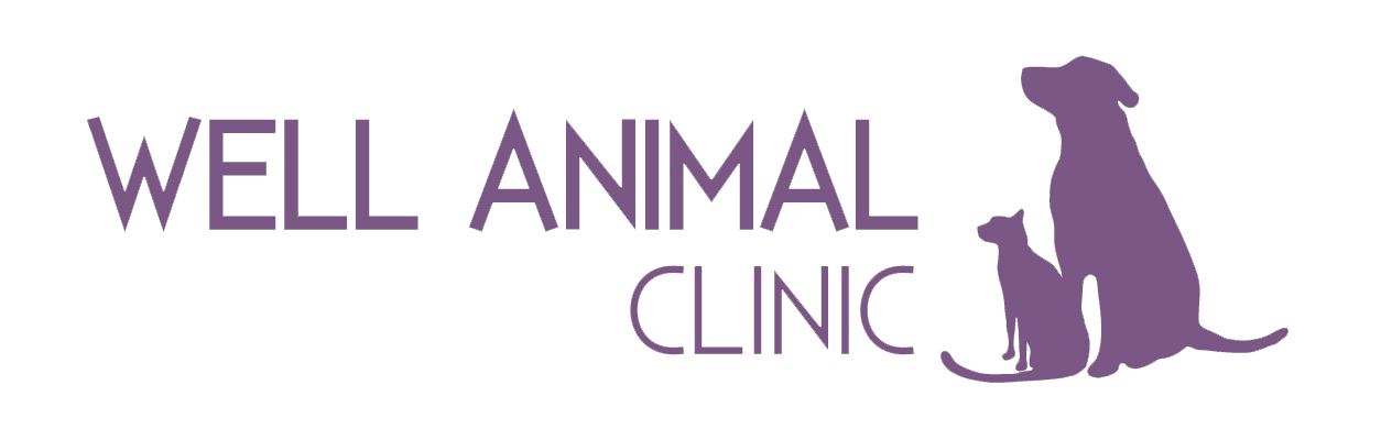 WAC Landscape CMYK logo