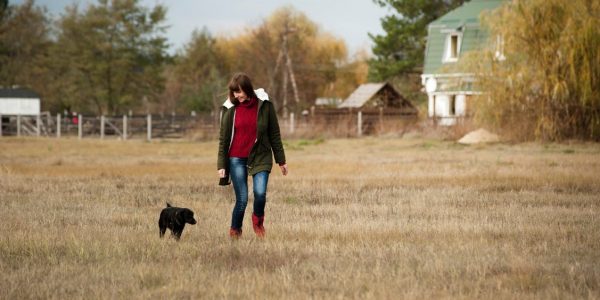 5 Things To Do With Your Dog On A Walk