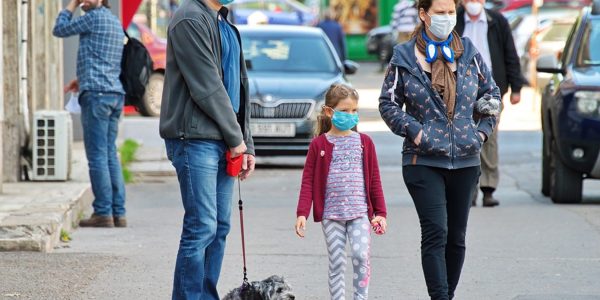 Effective Tips Dog Walkers Should Consider During The Pandemic