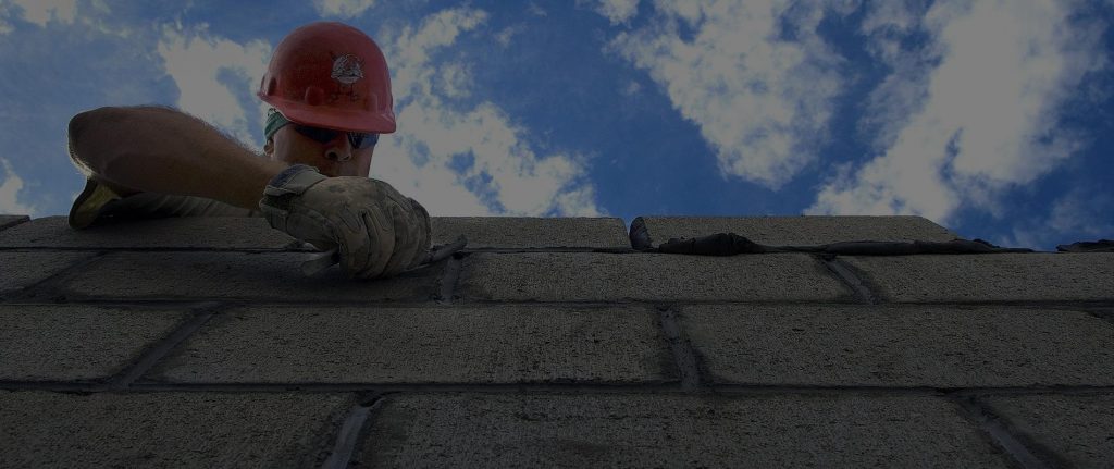 dog-walkers-london-finchley-area